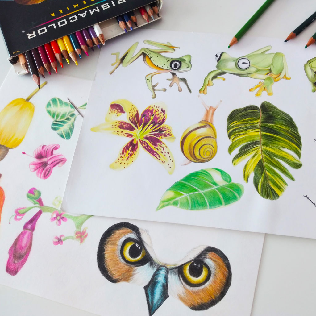 Estampa com pintura em lápis de cor